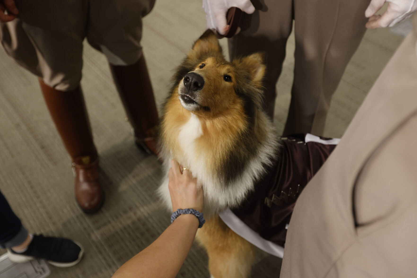 Reveille X